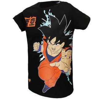 Dragon Ball Z Dragon Ball Z Goku Big Print T-Shirt