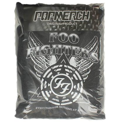 Band Merchandise Foo Fighters Everything Logo Pullover Hoodie - Image 4